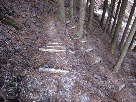 20200110hike (299)